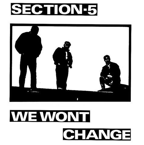 RRS178.jpg SECTION 5 - We Wont Change (White Vinyl) - Image 1