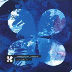 RSBY006.jpg Submorphics - Fluxpoint Vol 1 - Kyle Hall Remix - Image 1