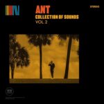 ANT - COLLECTION OF SOUNDS VOL.2 Vinyl Record
