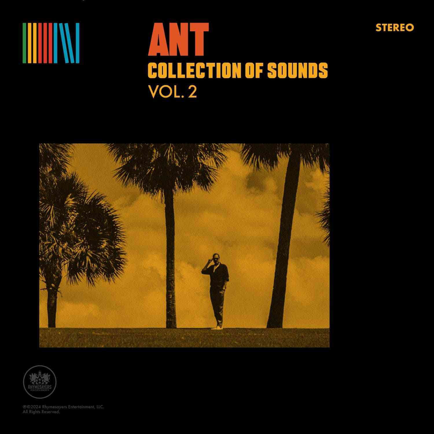 RSE379LPC1.jpg ANT - COLLECTION OF SOUNDS VOL.2 Vinyl Record - Image 1