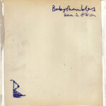 BABYSHAMBLES - DOWN IN ALBION (20TH ANNIVERSARY EDITION)