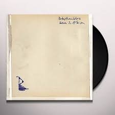 RTRADLP240.jpg BABYSHAMBLES - DOWN IN ALBION Vinyl Record - Image 1