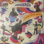 THE DECEMBERISTS - I LL BE YOUR GIRL