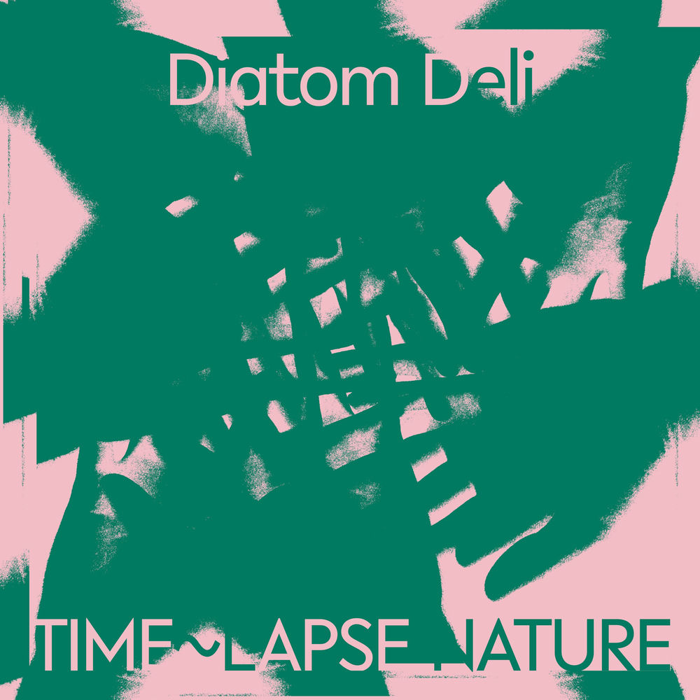 RVNGNL79LP.jpg DIATOM DELI - Time Lapse Nature - Image 1