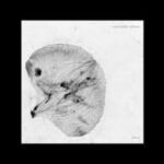 Alessandro Adriani - Embryo Vinyl Record