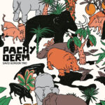DAVID GORDON TRIO - PACHYDERM