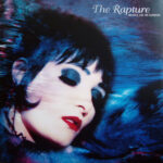 Siouxsie And The Banshees - The Scream(1LP/180G/HSM)