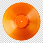 AFTER THE FALL - Fort Orange Vinyl Record