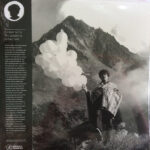 RICHARD SWIFT - DRESSED UP FOR THE LETDOWN