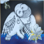 SONGS: OHIA - MAGNOLIA ELECTRIC CO. (10 YEAR ANNIVERSARY EDI