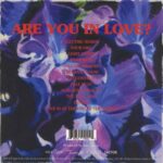 BASIA BULAT - ARE YOU IN LOVE? (DLX/COLOUR) Vinyl Record