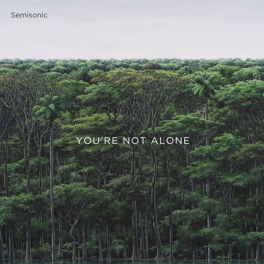 SEMI01LP.jpg SEMISONIC - YOURE NOT ALONE - Image 1