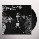 A PONY NAMED OLGA - Ave Maria Vinyl Record