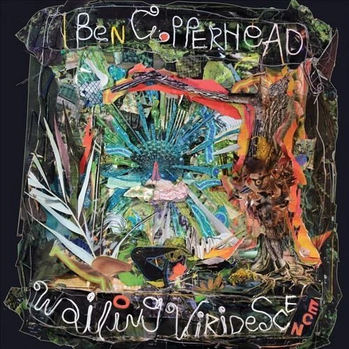 SHIMMY2016LP.jpg BEN COPPERHEAD - WAILING VIRIDESCENCE Vinyl Record - Image 1