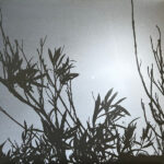 TAN COLOGNE / EARL VALLIE - Sound Mirage From A Desert Community Dispatch