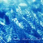 THE GENTLE SPRING - LOOKING BACK AT THE WORLD