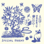 SPECIAL FRIEND - CLIPPING