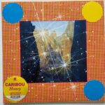CARIBOU - HONEY Vinyl Record