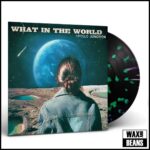 APOLLO JUNCTION - What In The World (Purple/Green Lagoon Vinyl) (D2C Exclusive) Vinyl Record