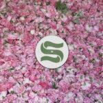 BRAXE + FALCON - STEP BY STEP REMIXES Vinyl Record