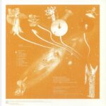 CARLOS GIFFONI - DREAM WALKER Vinyl Record