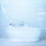 FRANKIE COSMOS - VESSEL