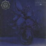 DEAF WISH - Lithium Zion