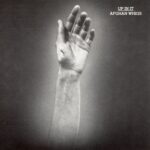 THE AFGHAN WHIGS - UP IN IT
