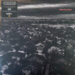STATES - PARADIGM (SILVER VINYL)