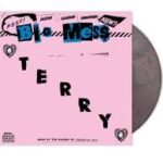 BIG MESS - TERRY Vinyl Record