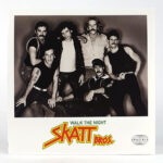 Skatt Bros - Walk The Night