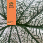 SEAN GREEN - The Green Room