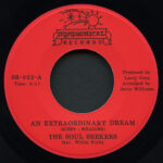 The Soul Seekers - An Extraordinary Dream