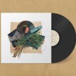 CISCO SWANK & LUKE TITUS - SOME THINGS TAKE TIME Vinyl Record