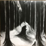 HAVUKRUUNU - HAVULINNAAN