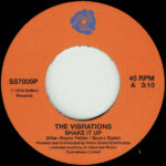 The Vibrations - Shake It Up / Make It Last