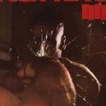 BLACK FLAG - Damaged Vinyl Record