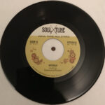 SOUL TUNE ALLSTARS - World / Natural Feeling