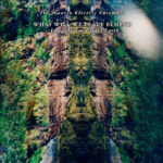 IRO HAARLA ELECTRIC ENSEMBLE - WHAT WILL WE LEAVE BEHIND