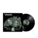 BOBBY LIEBLING & DAVE SHERMAN - NITE OWL Vinyl Record