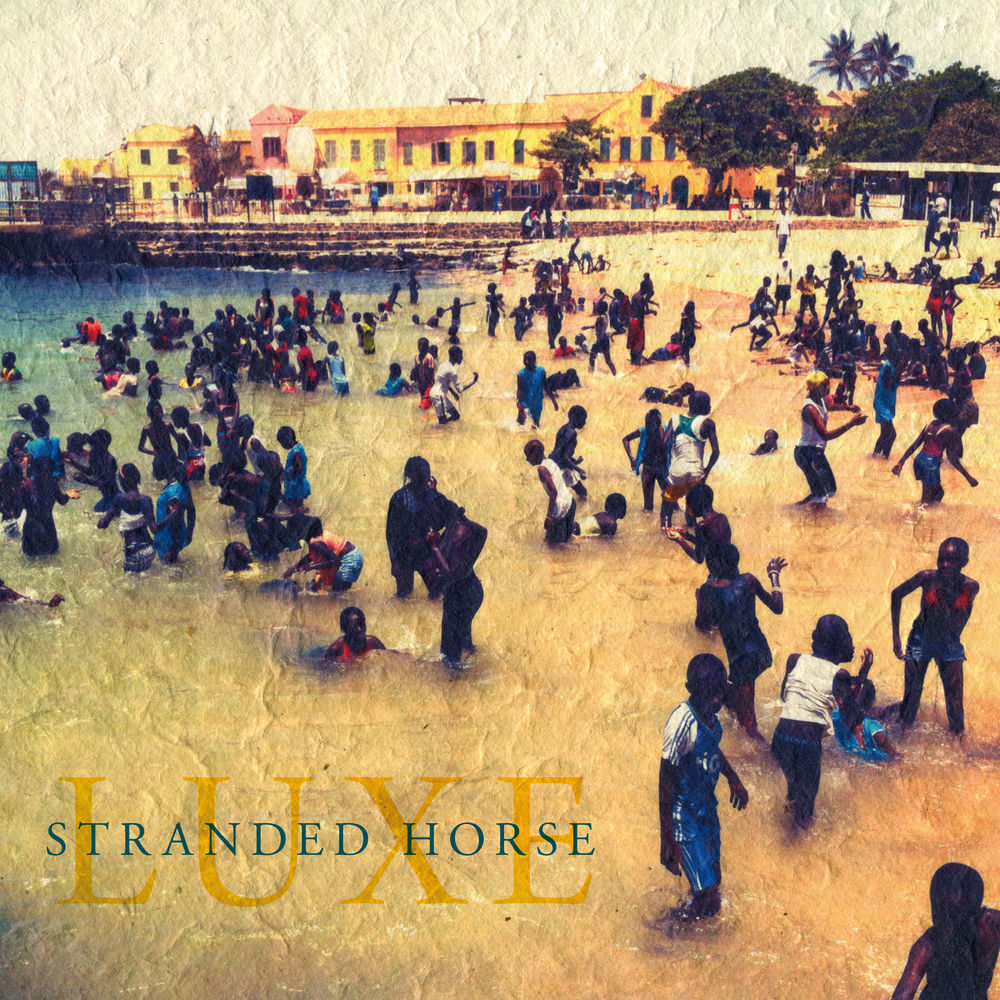 TAL085LP.jpg STRANDED HORSE - LUXE - Image 1