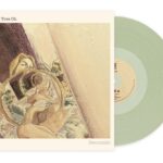 CORMORANT TREE OH - SWOONTIDE Vinyl Record