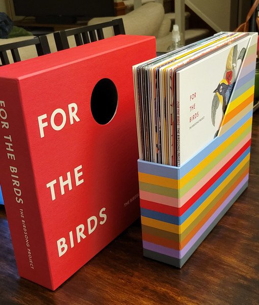 TBP01LP.jpg BIRD SONG PROJECTTHE - FOR THE BIRDS THE BI Vinyl Record - Image 1