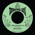 Teddy Studstill feat. Harris Mazyck - I Wanna Be With You / There Comes A Time