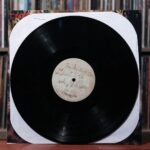 COCOROSIE - THE ADVENTURES OF GHOSTHORSE AND STILLBORN Vinyl Record