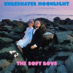 THE SOFT BOYS - UNDERWATER MOONLIGHT (45TH ANNIVERSARY REMASTE
