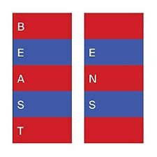 THRILL475LPX.jpg BEAST - Ens (Coloured Vinyl) Vinyl Record - Image 1