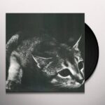 CINDY - CINDY (RE-ISSUE) Vinyl Record