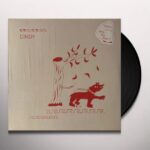 CINDY - WHY NOT NOW Vinyl Record