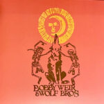 BOBBY WEIR & WOLF BROS - LIVE IN COLORADO